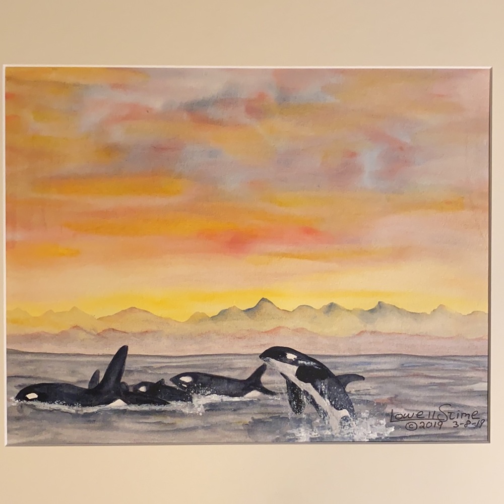 Original Watercolor 16x20 Orca Pod - Picture 6 of 6